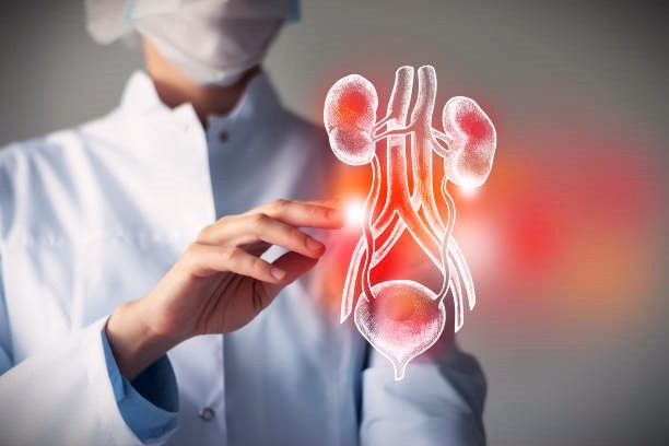 Andrology